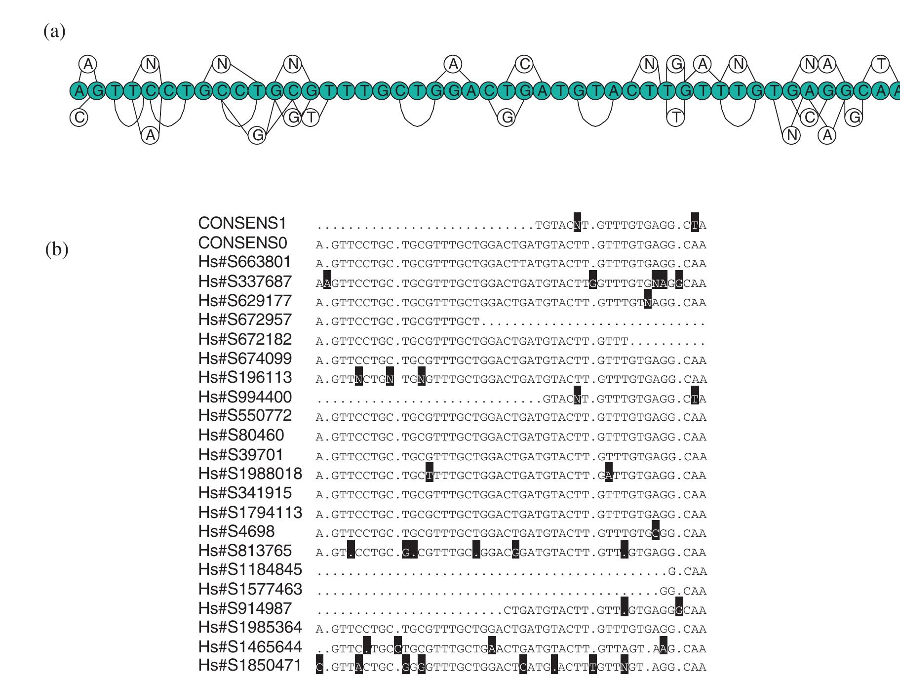 Figure 2 - from Multiple sequence alignment using partial