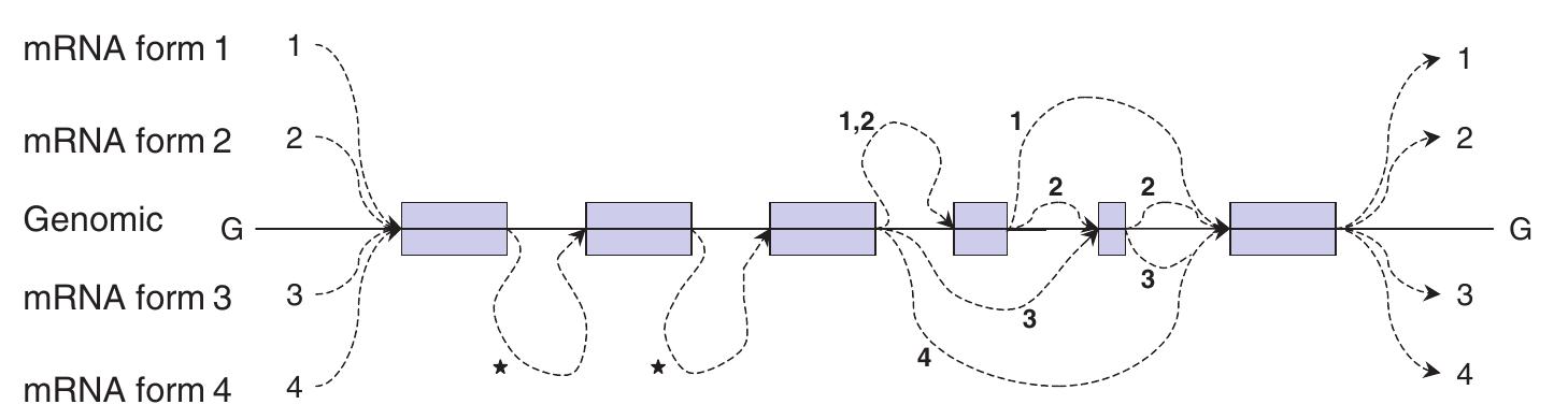 (PDF) Multiple sequence alignment using partial order graphs