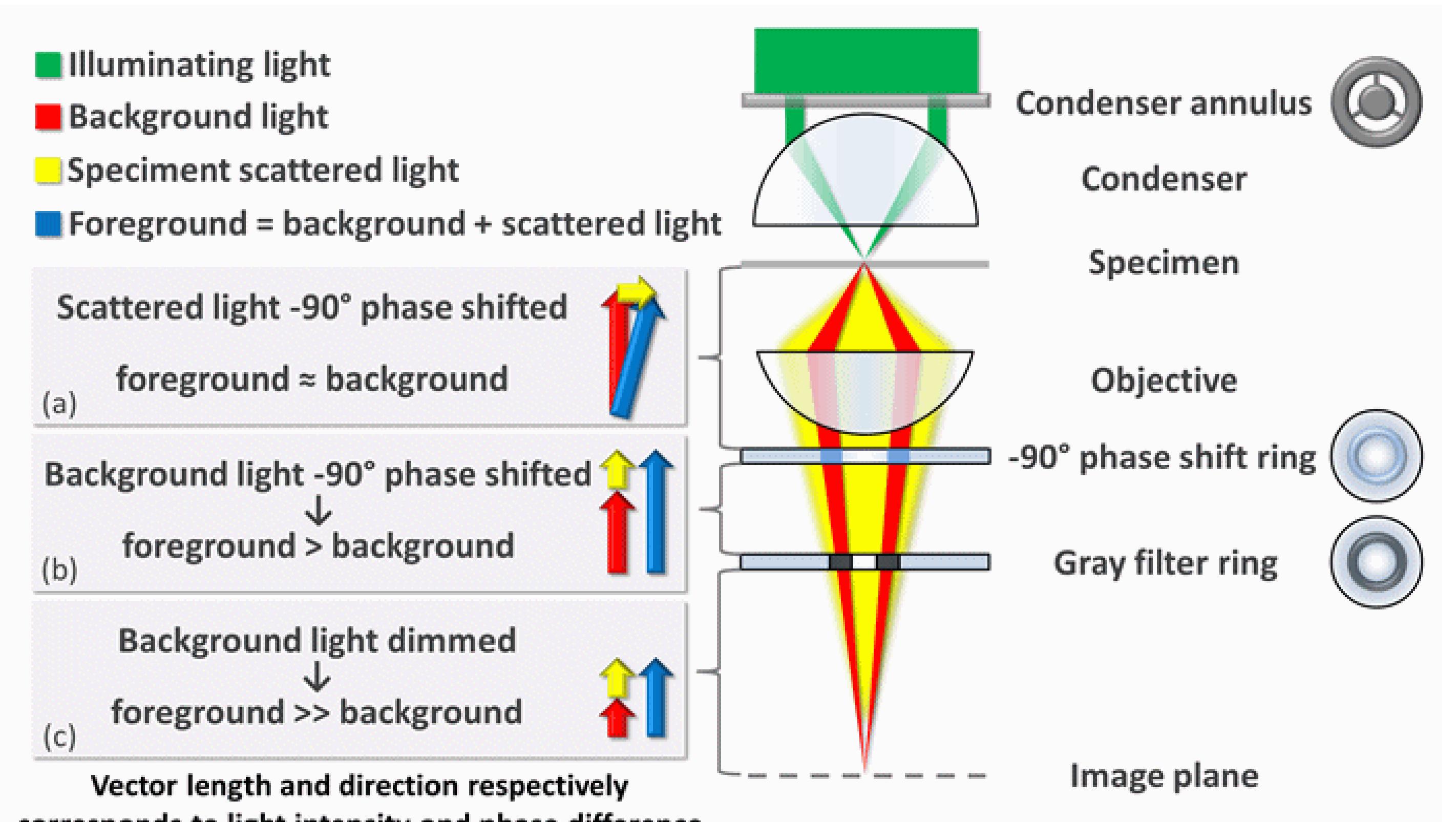 (PDF) Understanding Visual Inspection Technology- my ASNT Level III VT ...