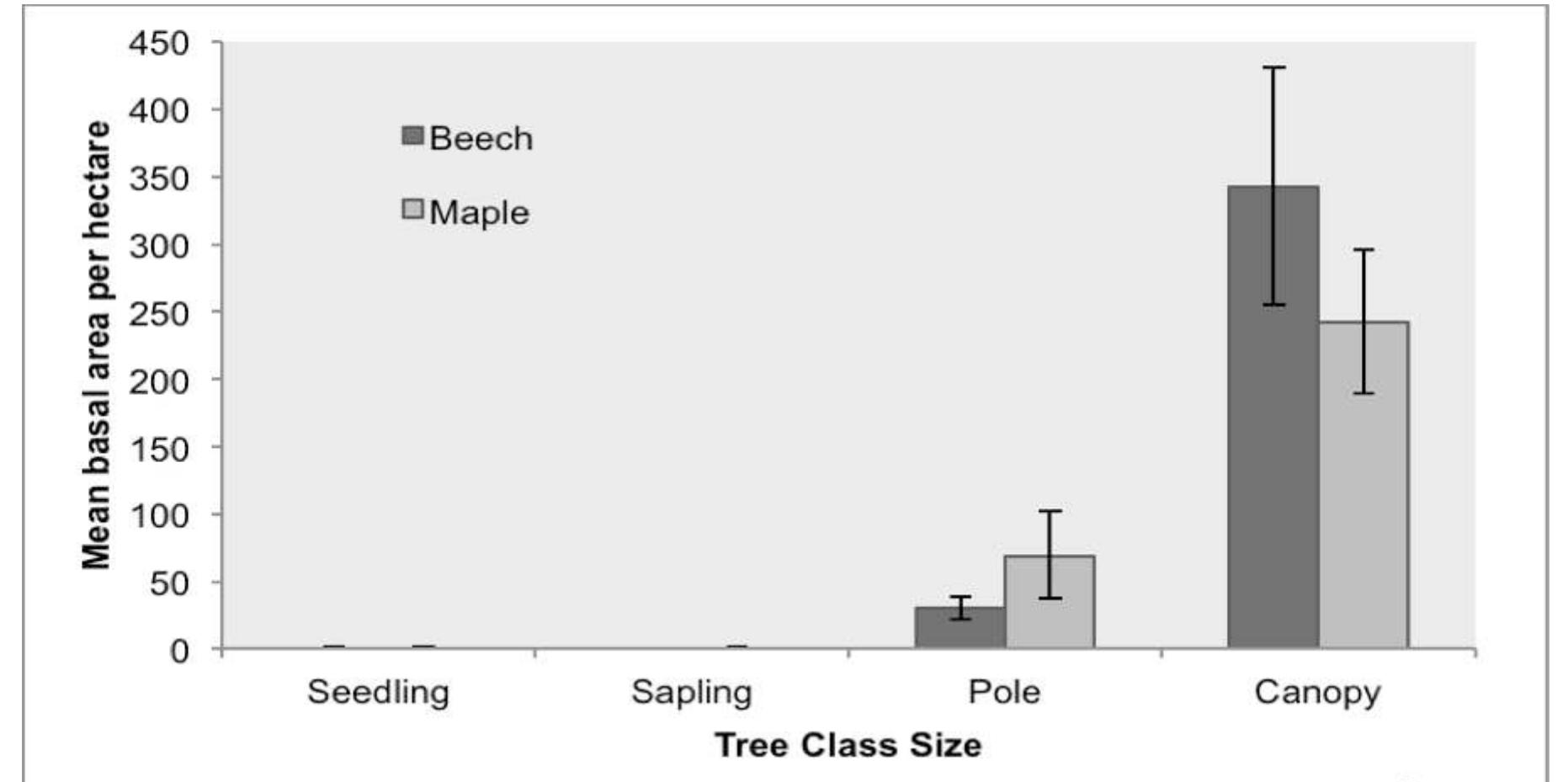 Sapling Tree Sizing B. seedlings and saplings: mean basal area by size class per