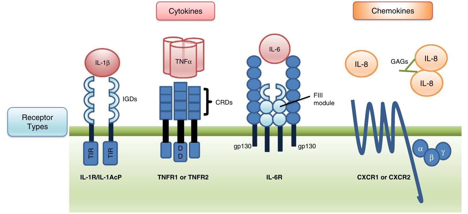 (PDF) Cytokines and chemokines: At the crossroads of cell signalling ...