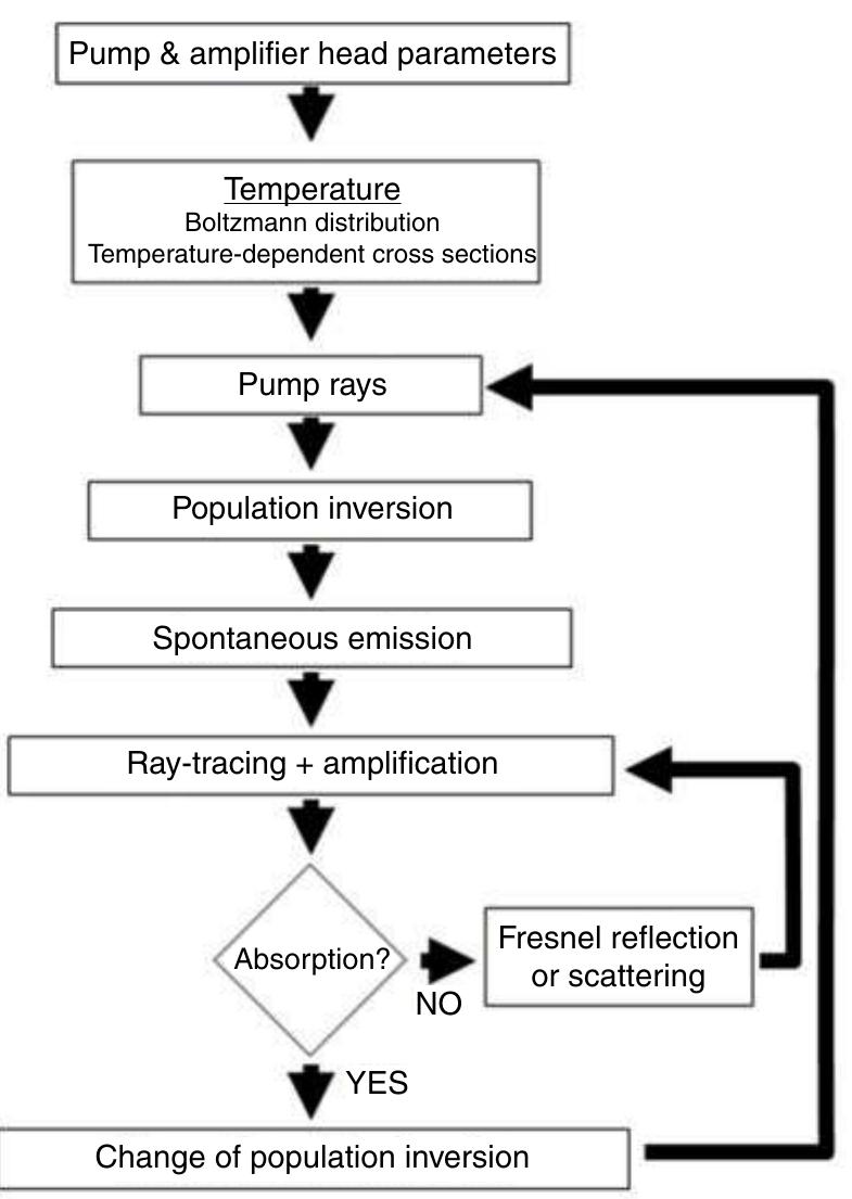 A schematic flow diagram of the model.