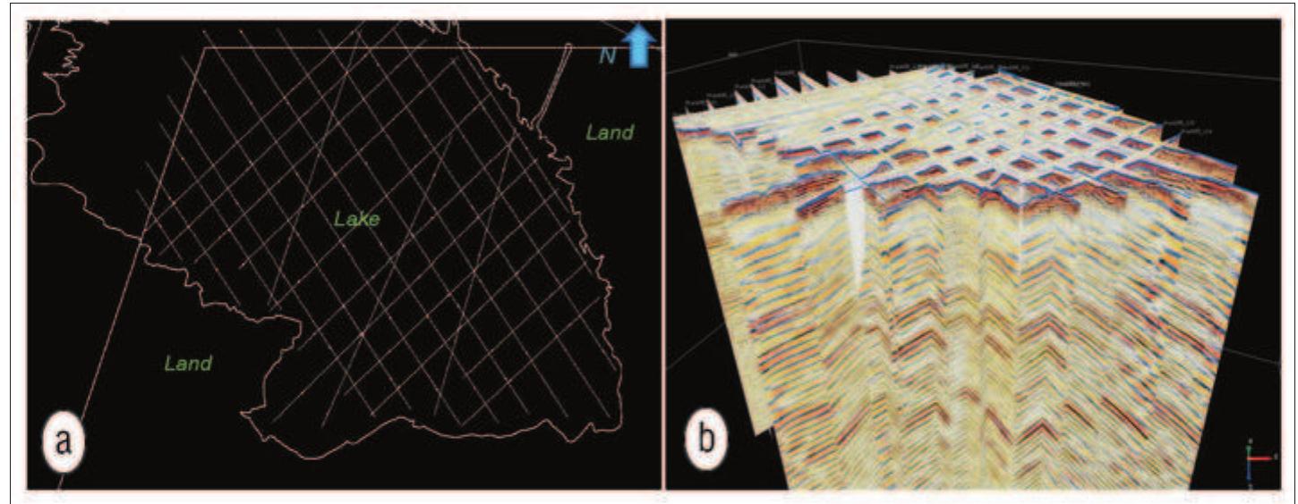 (PDF) 3D seismic processing and interpretation from 2D seismic data ...