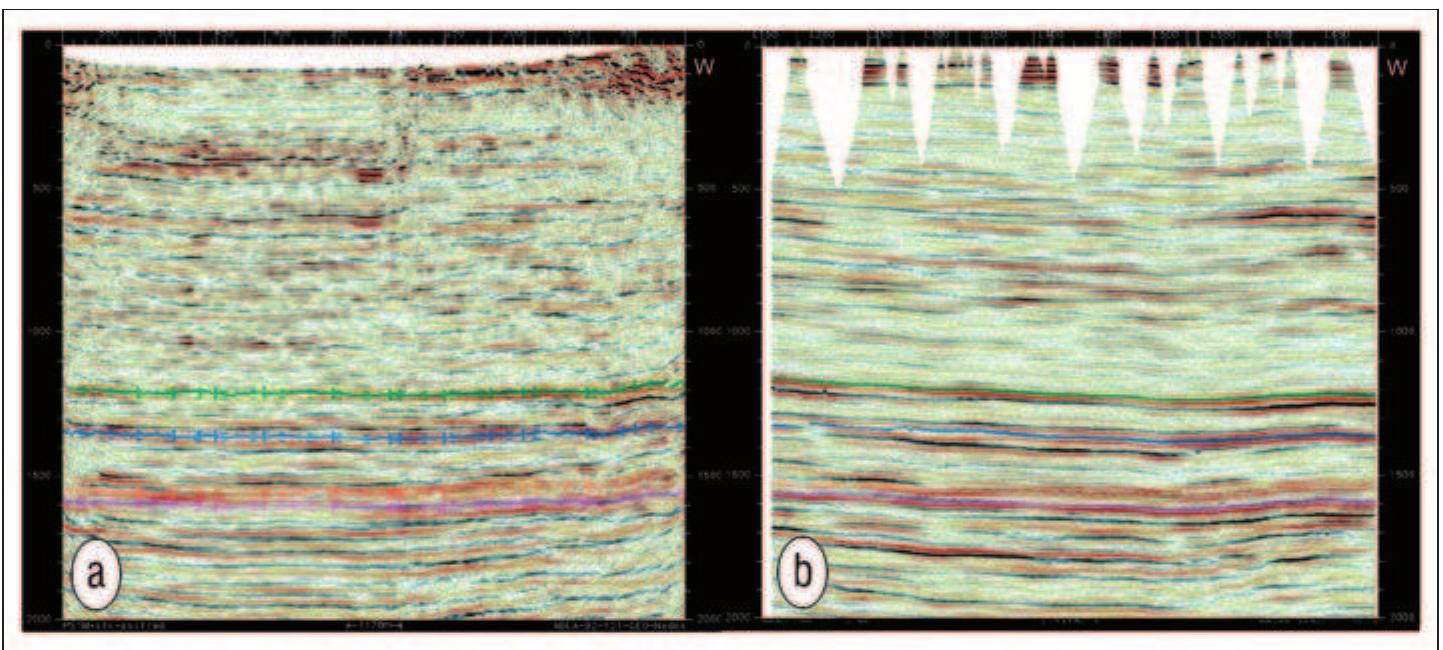 (PDF) 3D seismic processing and interpretation from 2D seismic data ...