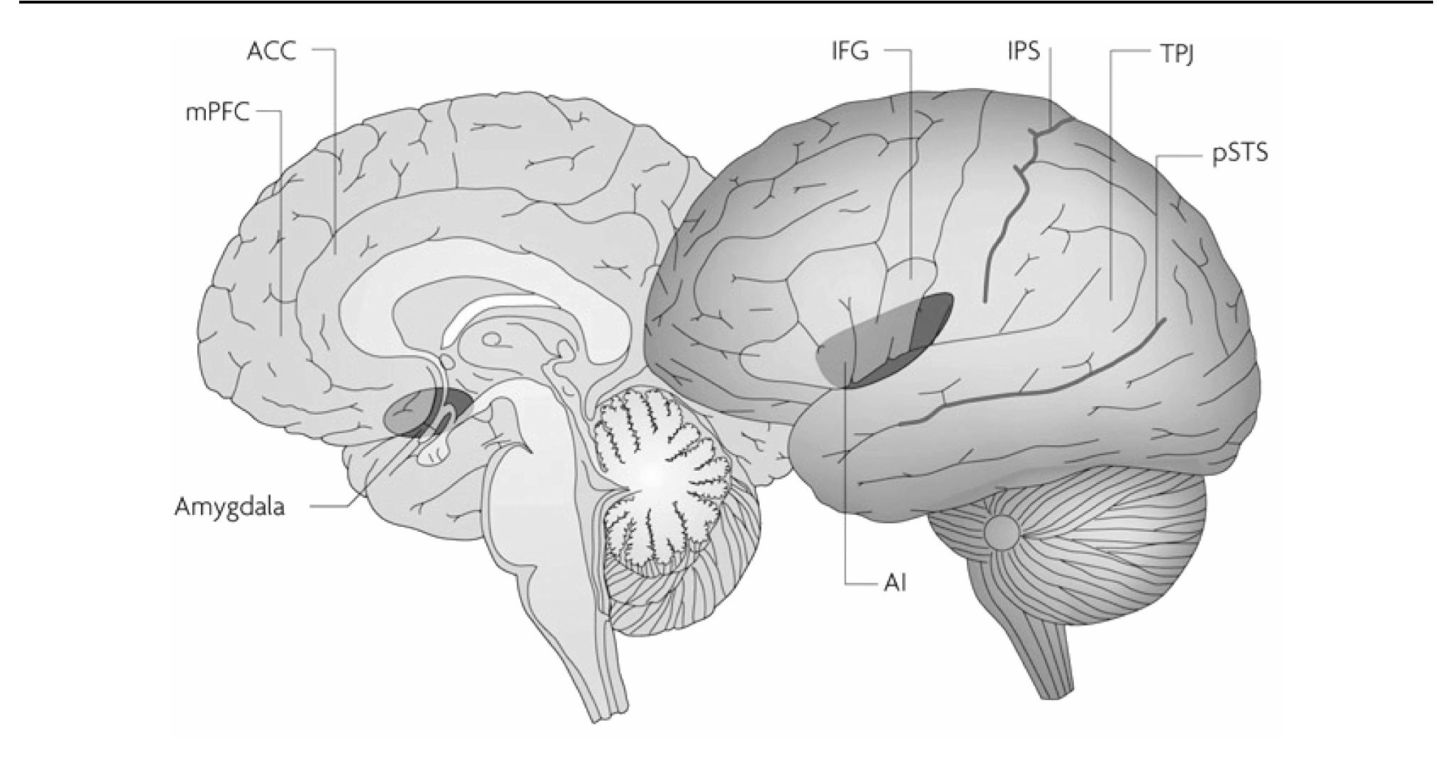 Figure 1 - from Henshilwood, C. S. & Dubreuil, B. 2011. The