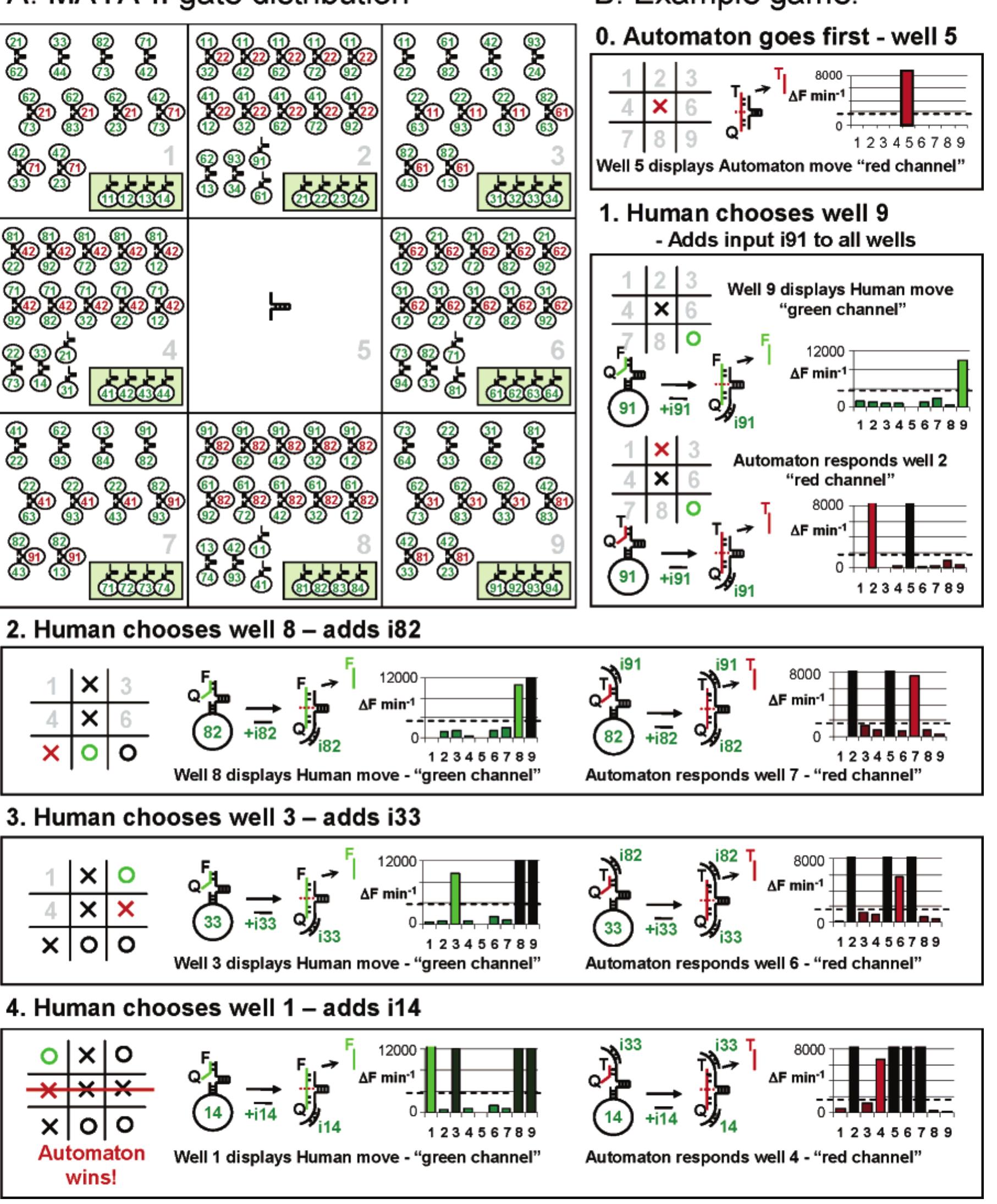 Red Loop Gates (PDF) Medium scale integration of molecular logic gates in an automaton