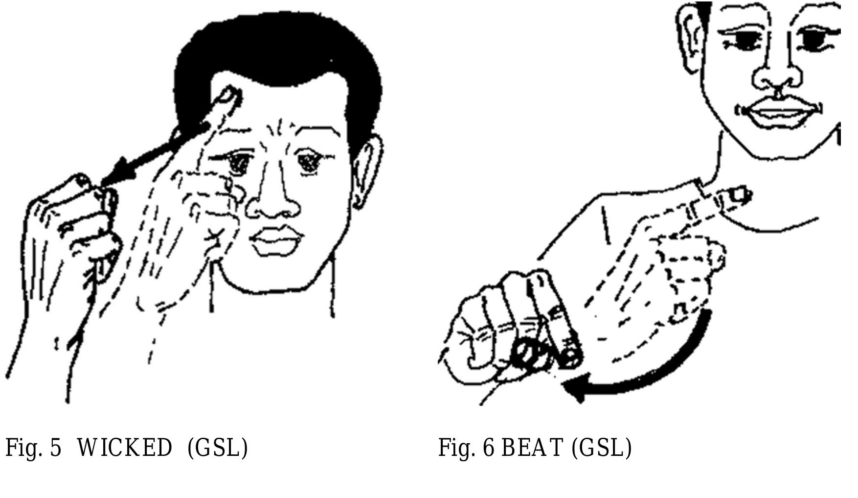 (PDF) Sign Languages in West Africa