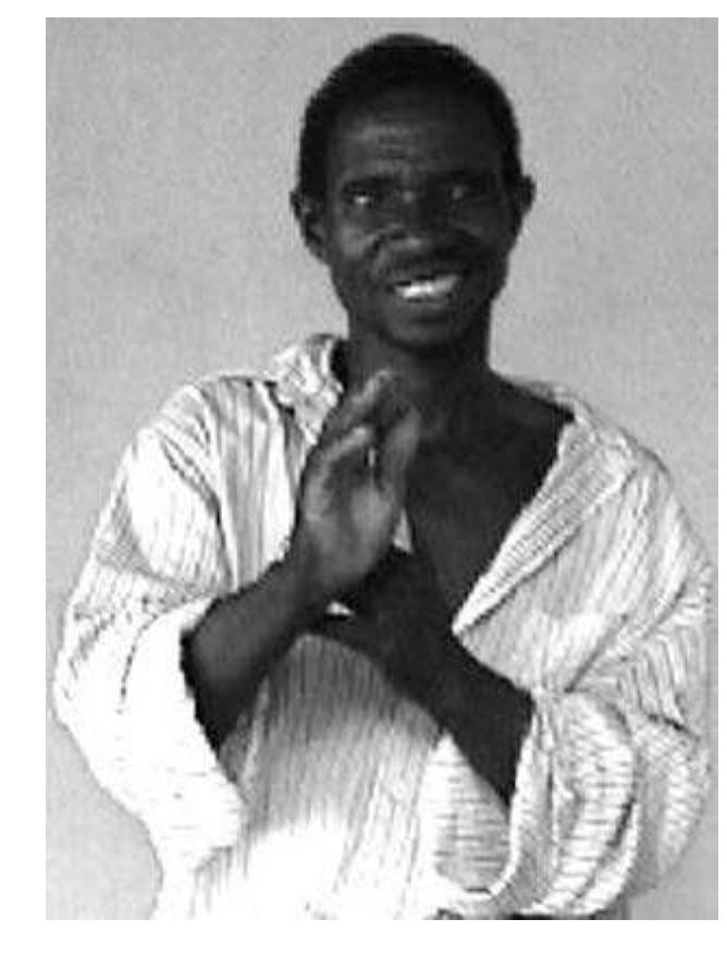 (PDF) Sign Languages in West Africa