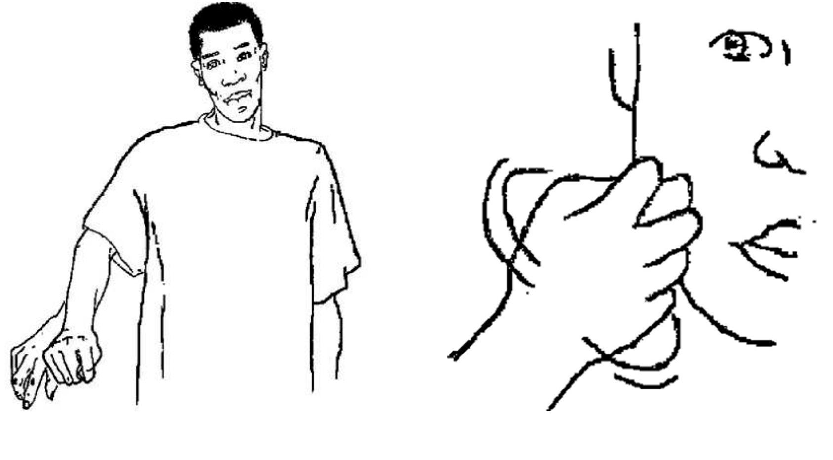 (PDF) Sign Languages in West Africa