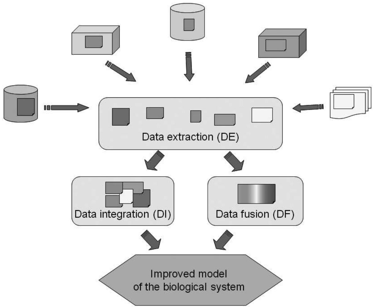 Schematic view of workflow: different types of data are