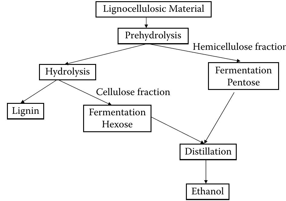 1 flow chart for ethanol production from lignocellulosic