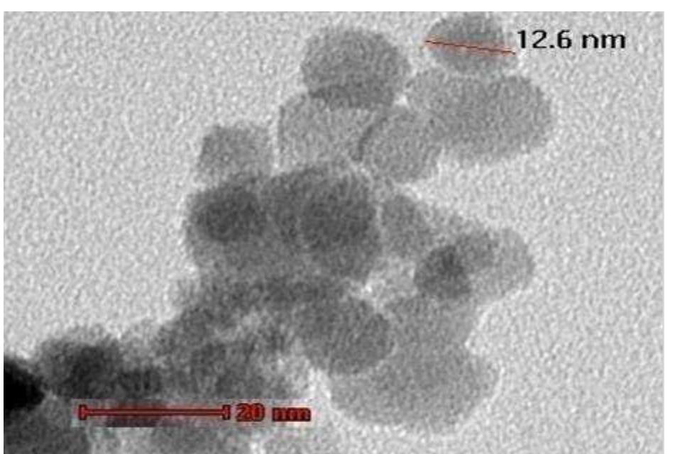 Tem imaging of the prepared magnetite nanoparticles