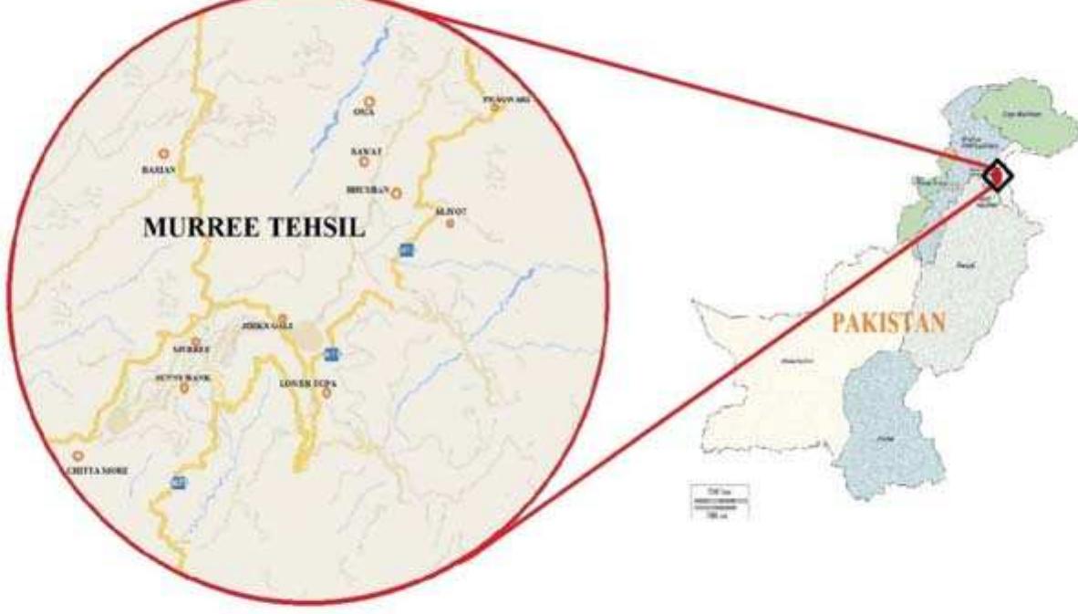 Map showing the study area, murree and its vicinity.