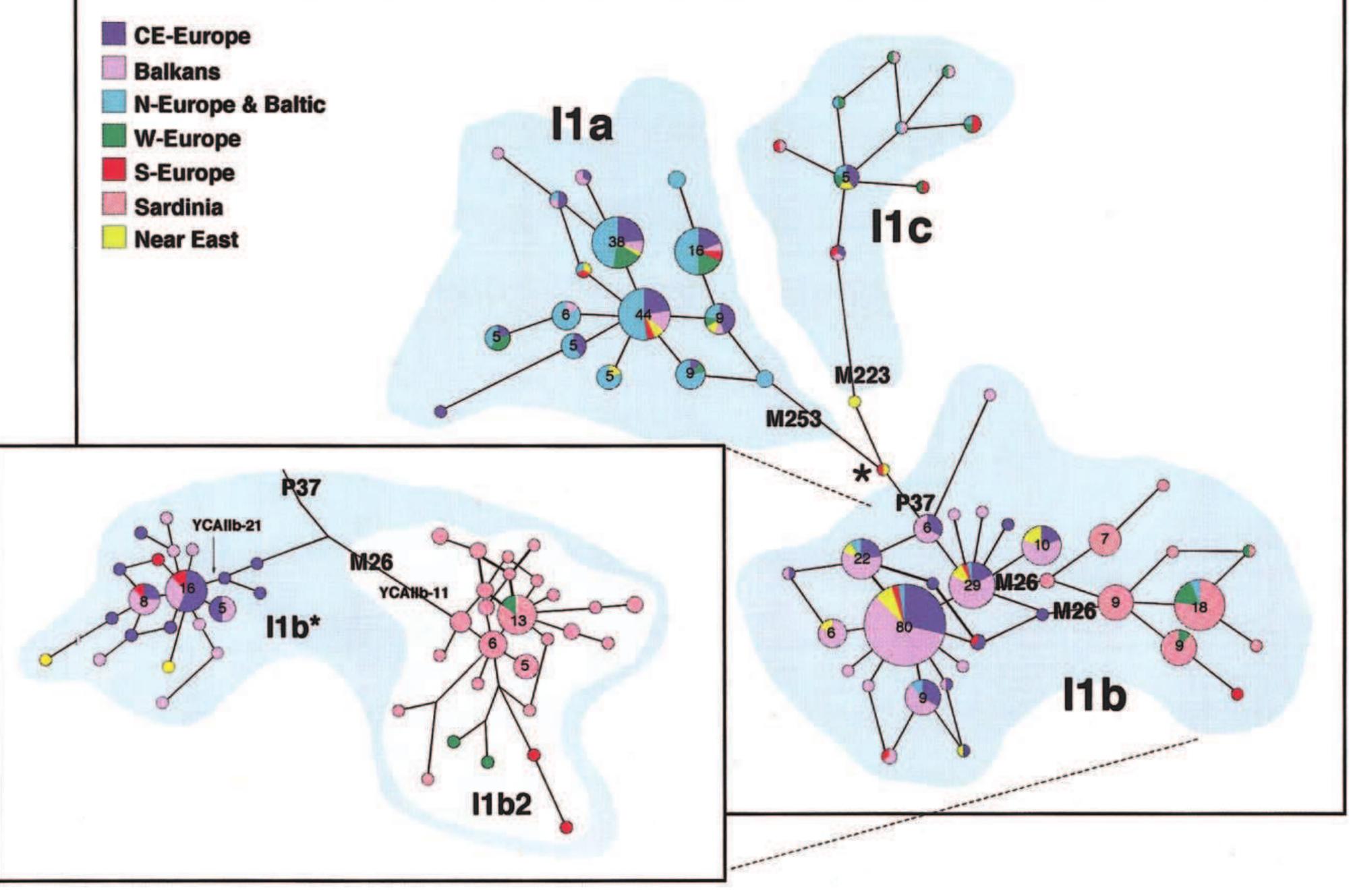 Basque Space Program Figure 12 - from RECONSTRUCTING THE JOURNEY OF Y-DNA