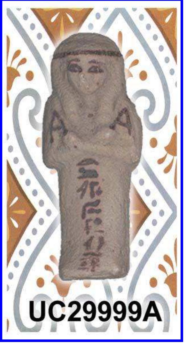 FIGURE 3 Faience Shbati from Thebes, the  Ramesseum, object number UC29999A—as seen 