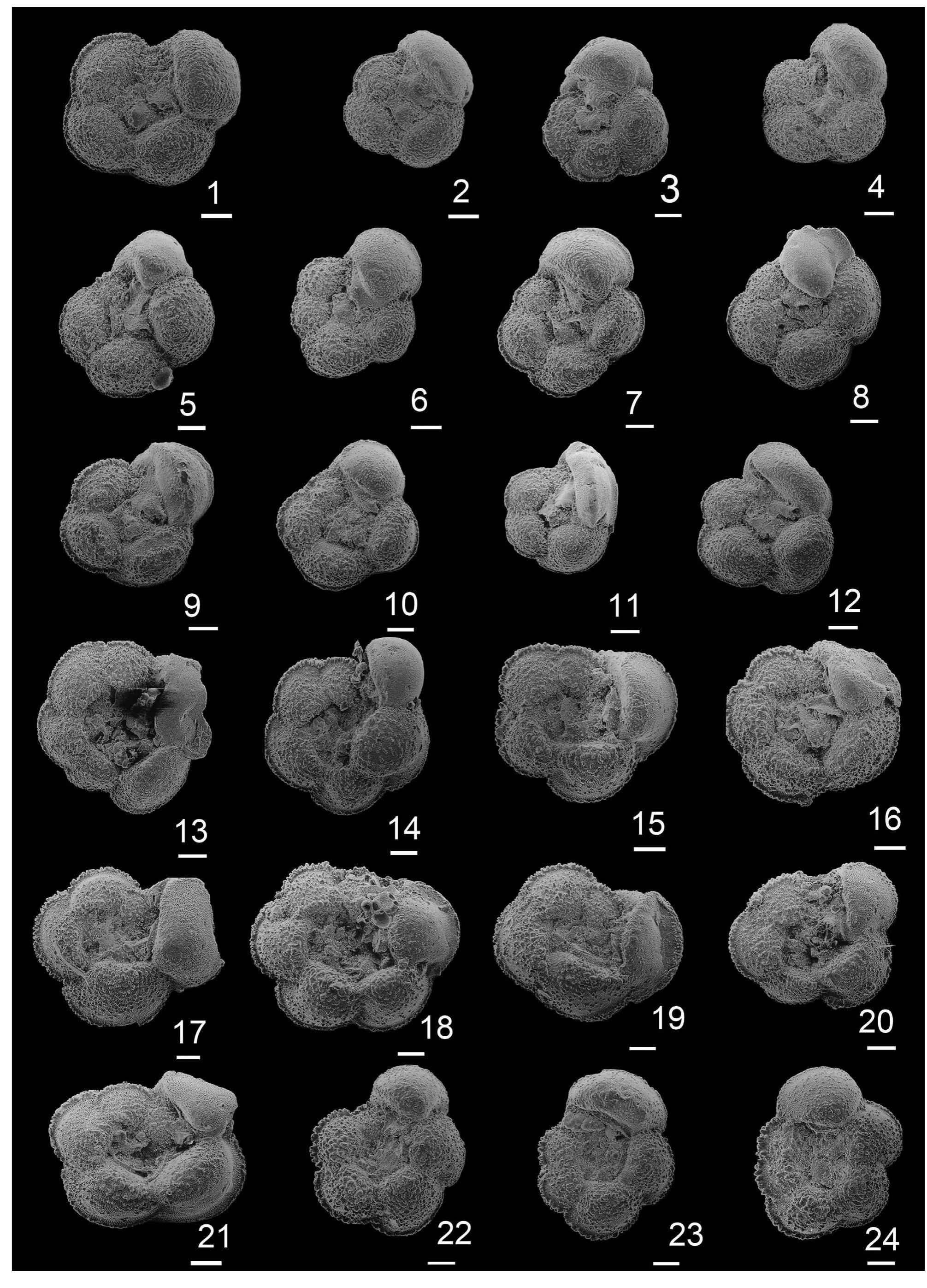 Figure 8 - Late Cretaceous paleoenvironmental evolution of