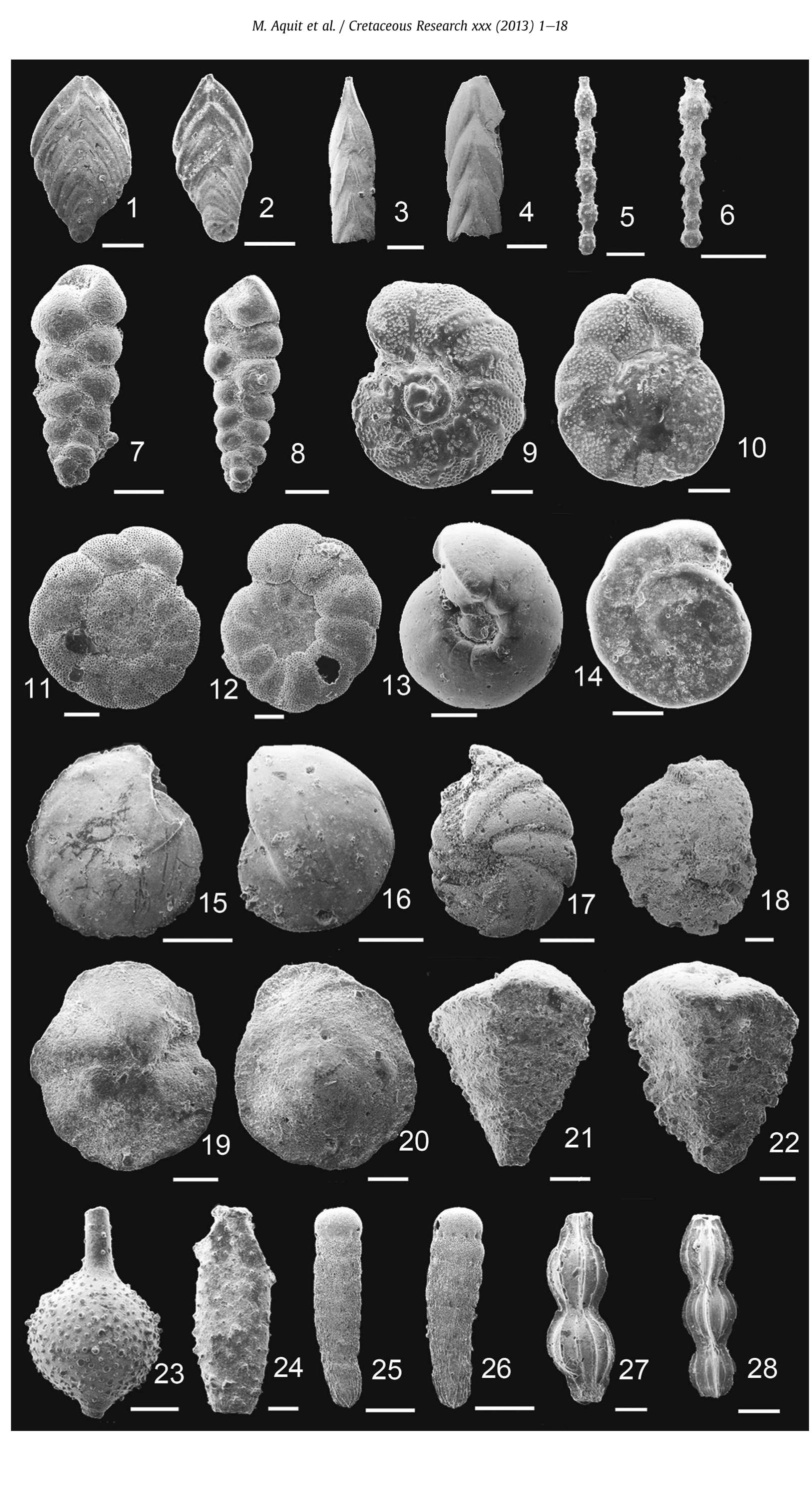 (PDF) Late Cretaceous paleoenvironmental evolution of the Tarfaya ...