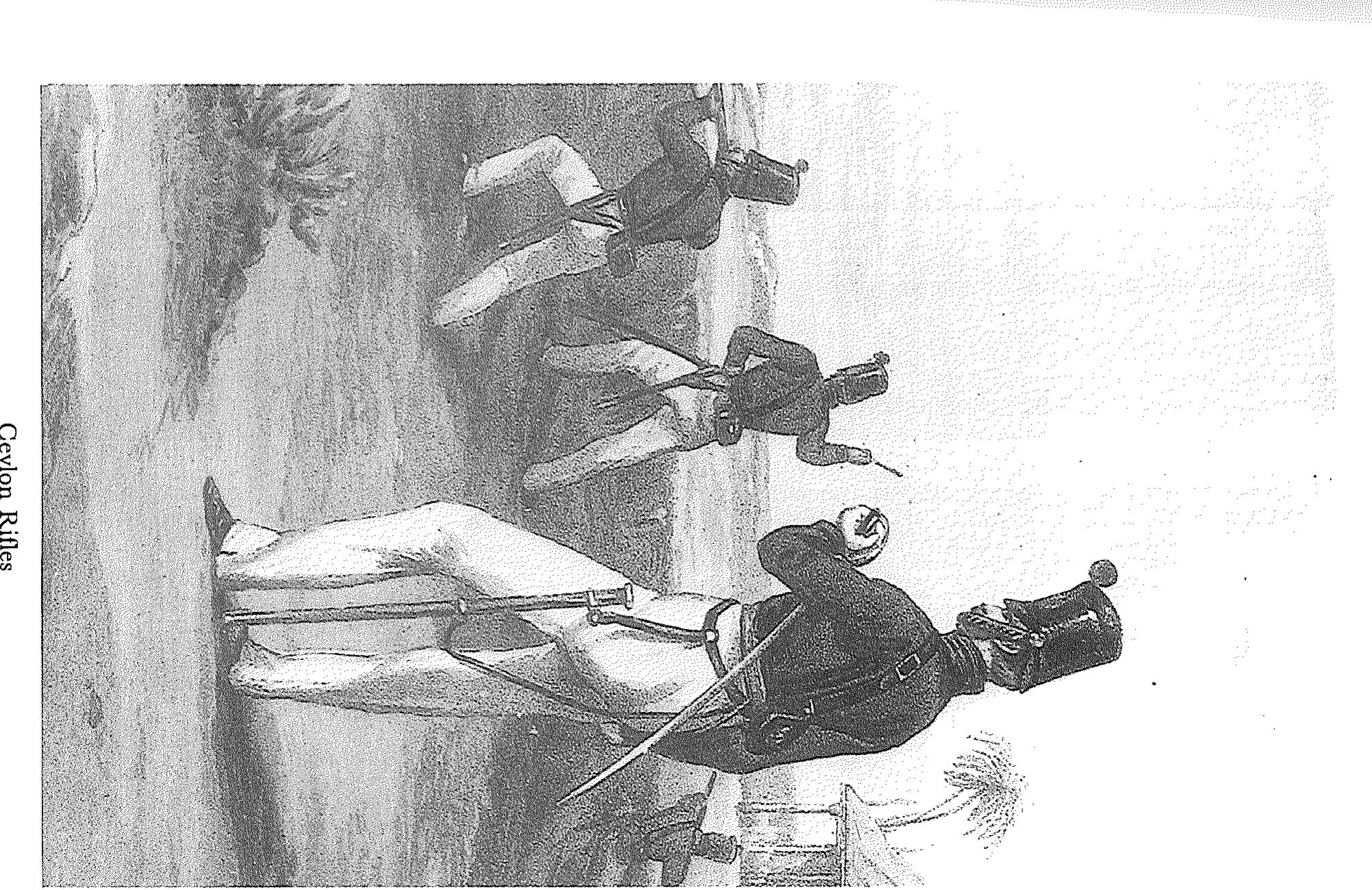 draw drawers　【Stone Hair Grip ：Silver】 PDF) The Malays of the Ceylon Rifle Regiment (1800-1873)
