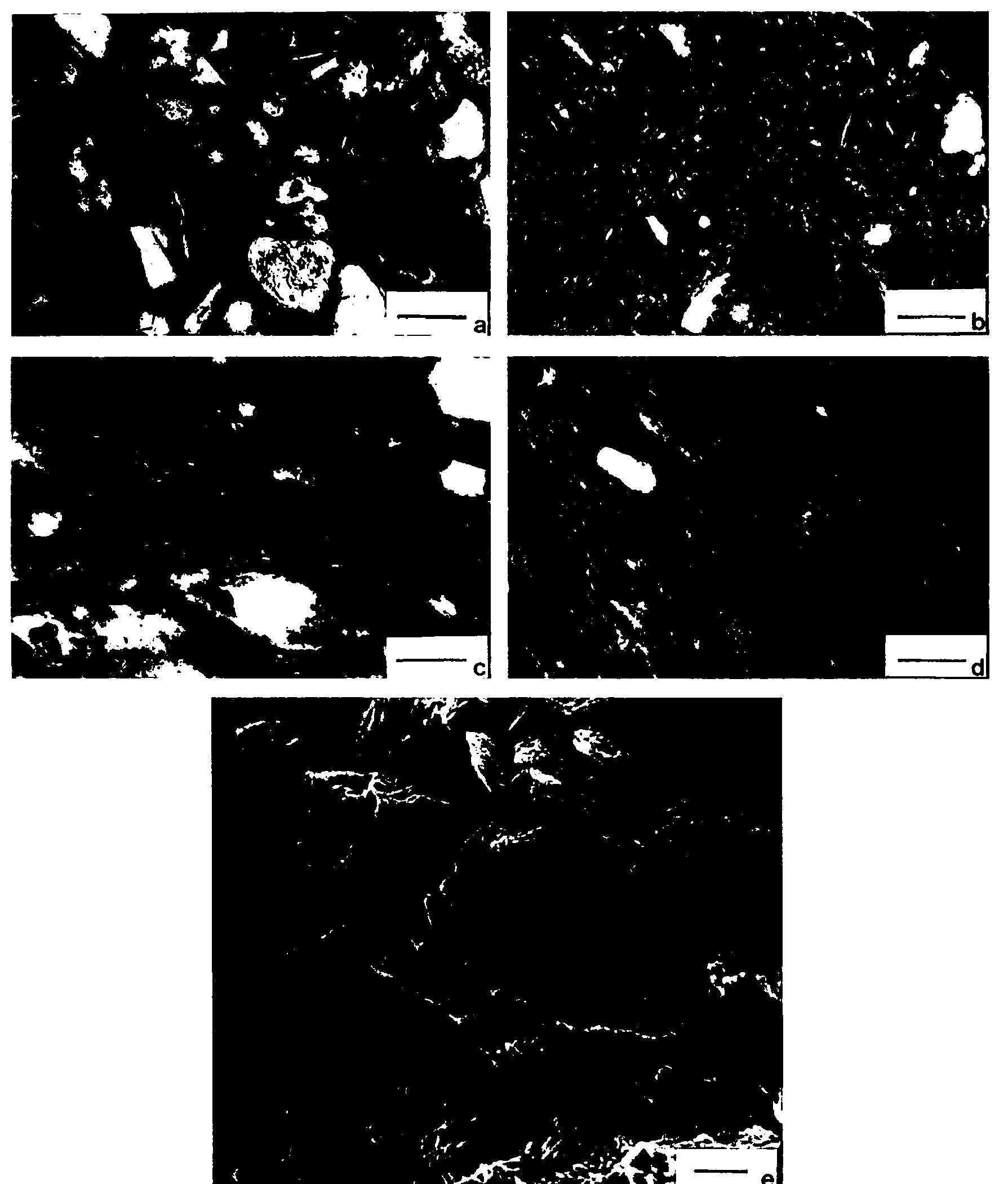 Clay Inclusions Procedure a, coil-built ceramics. (a, b} random orientation