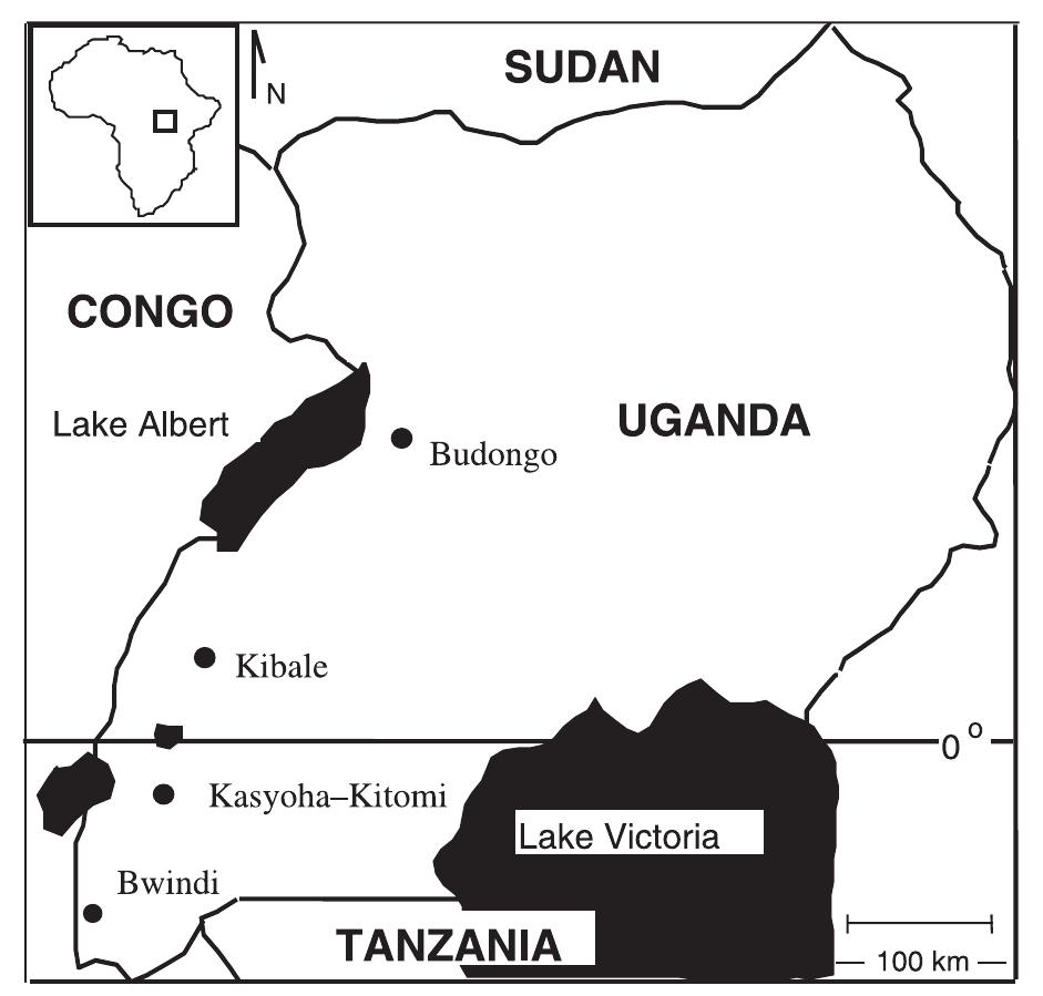 (PDF) Tree Distribution in African Forests