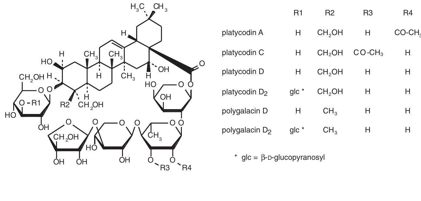 Dis Chem Root Powder Figure 14 - from phytochemistry