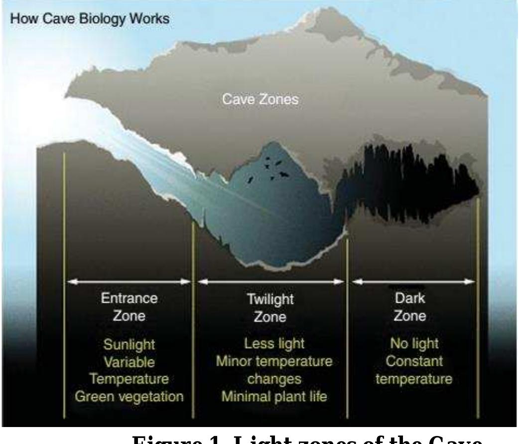 Vari Cave Figure 3 - from ENVIRONMENTAL CONDITIONS OF BORRA CAVE,