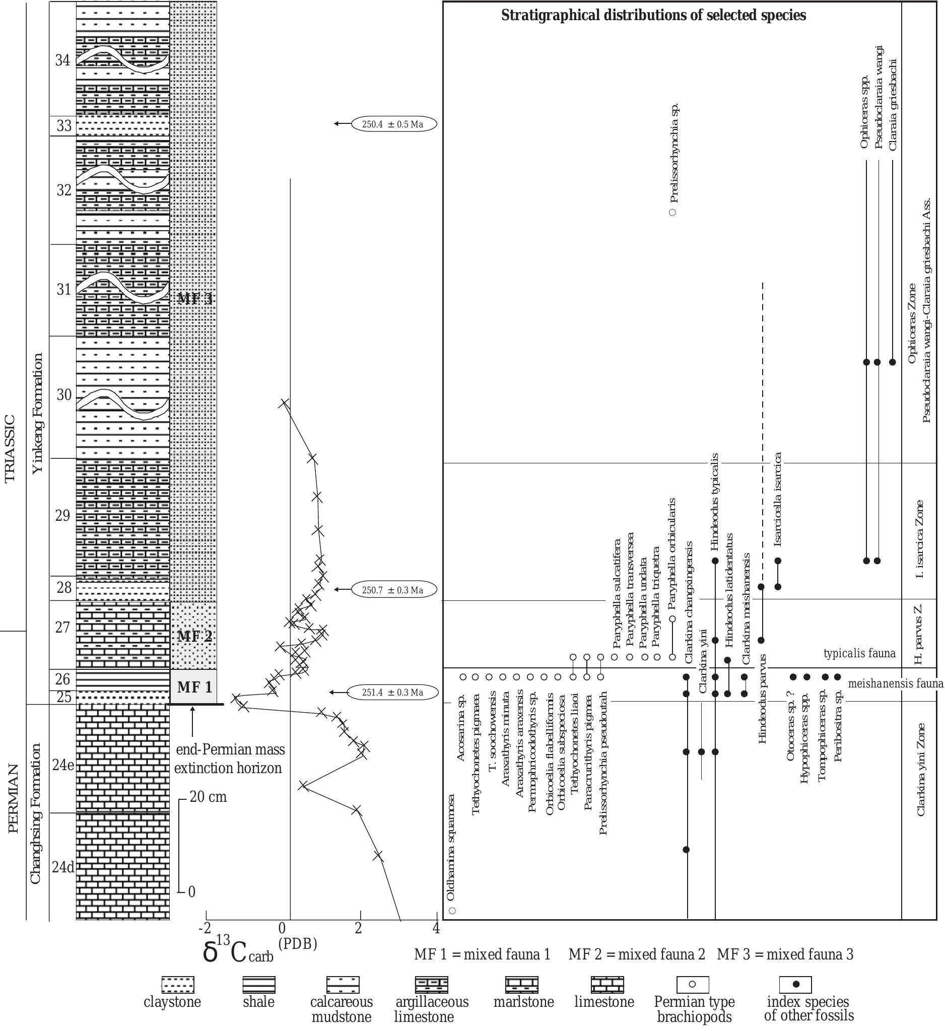 (PDF) Survival strategies of brachiopod faunas from the end-Permian ...