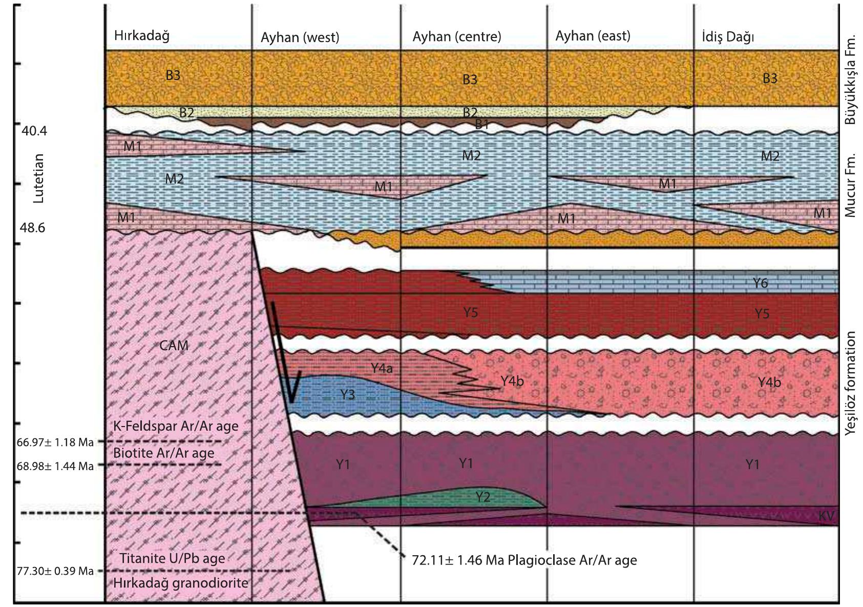 Facies diagram showing the regional and vertical