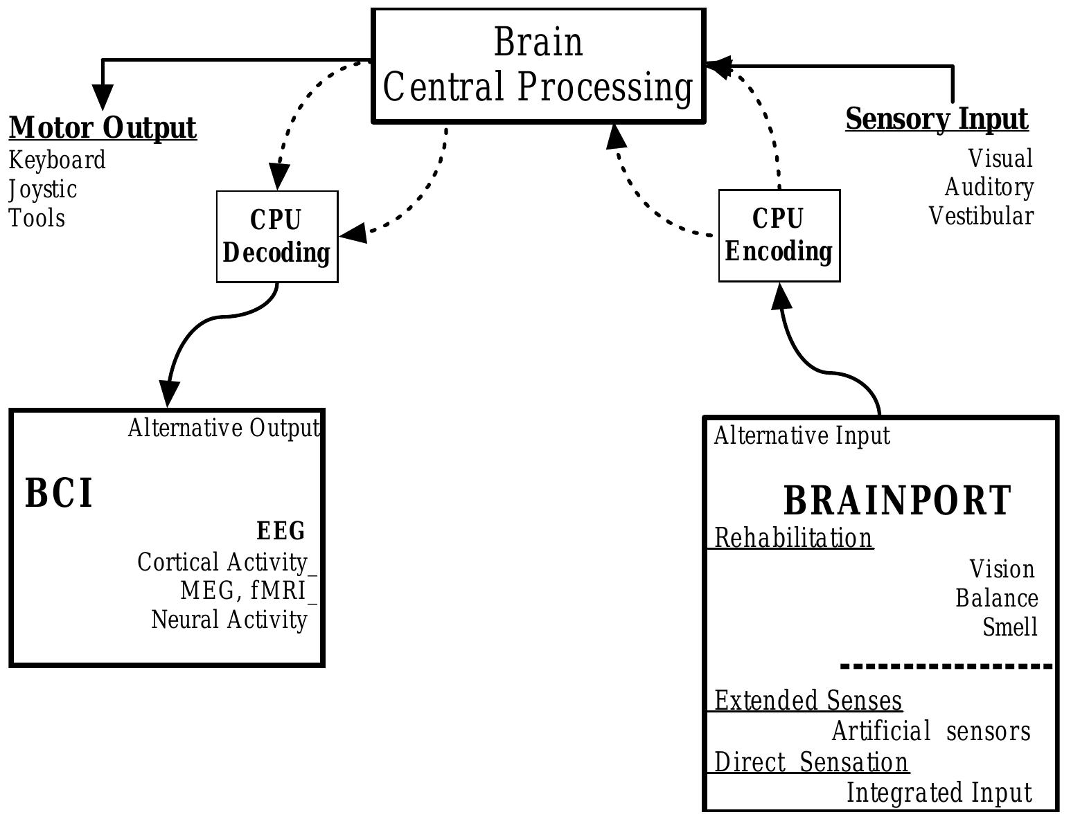 (PDF) BrainPort: an alternative input to the brain.
