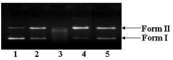 H202 Pattern Figure 9 - from Synthesis of heterobimetallic complexes: In