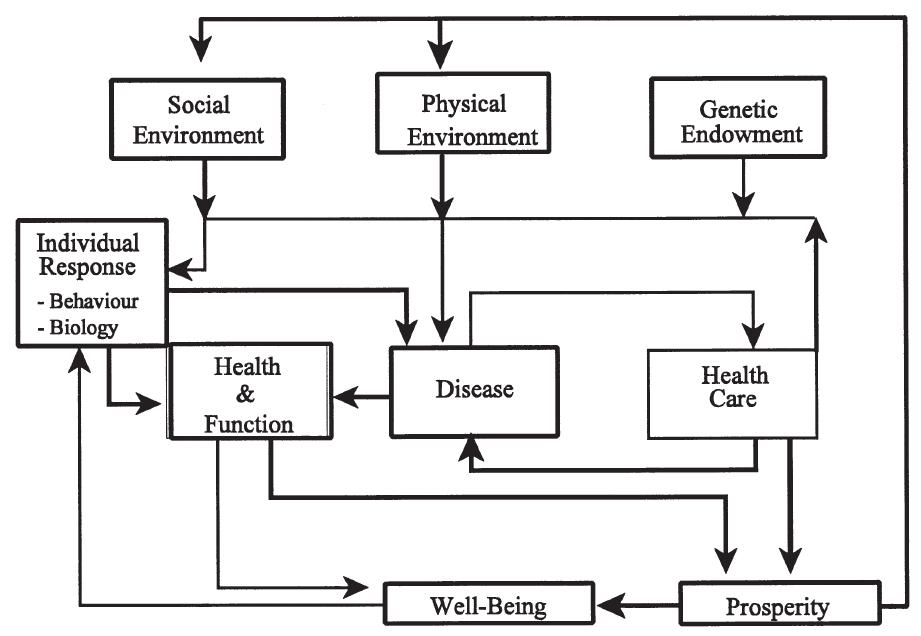 Figure 7 - from Evolving Models of Human Health Toward an