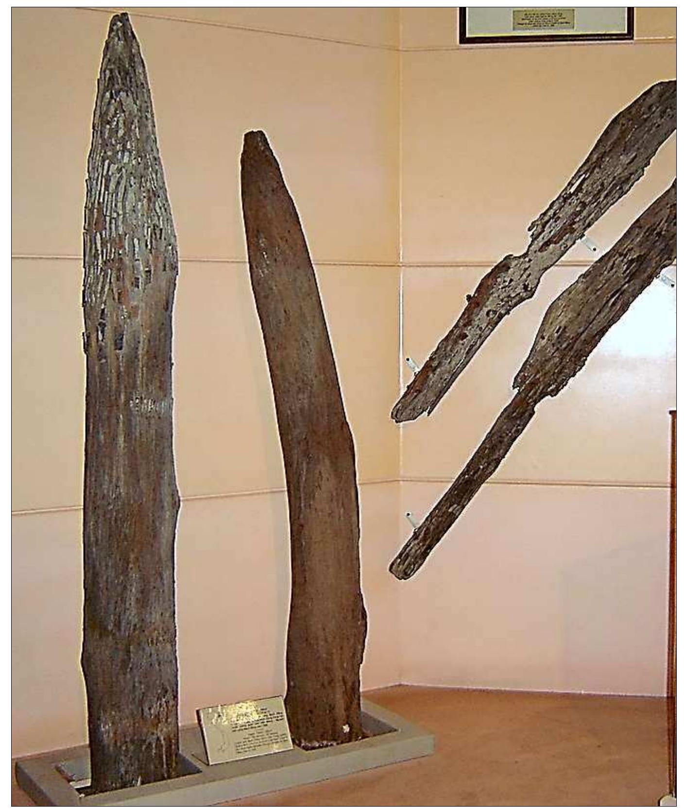 Bach Dang stakes — National Museum of Vietnamese History - Hanoi