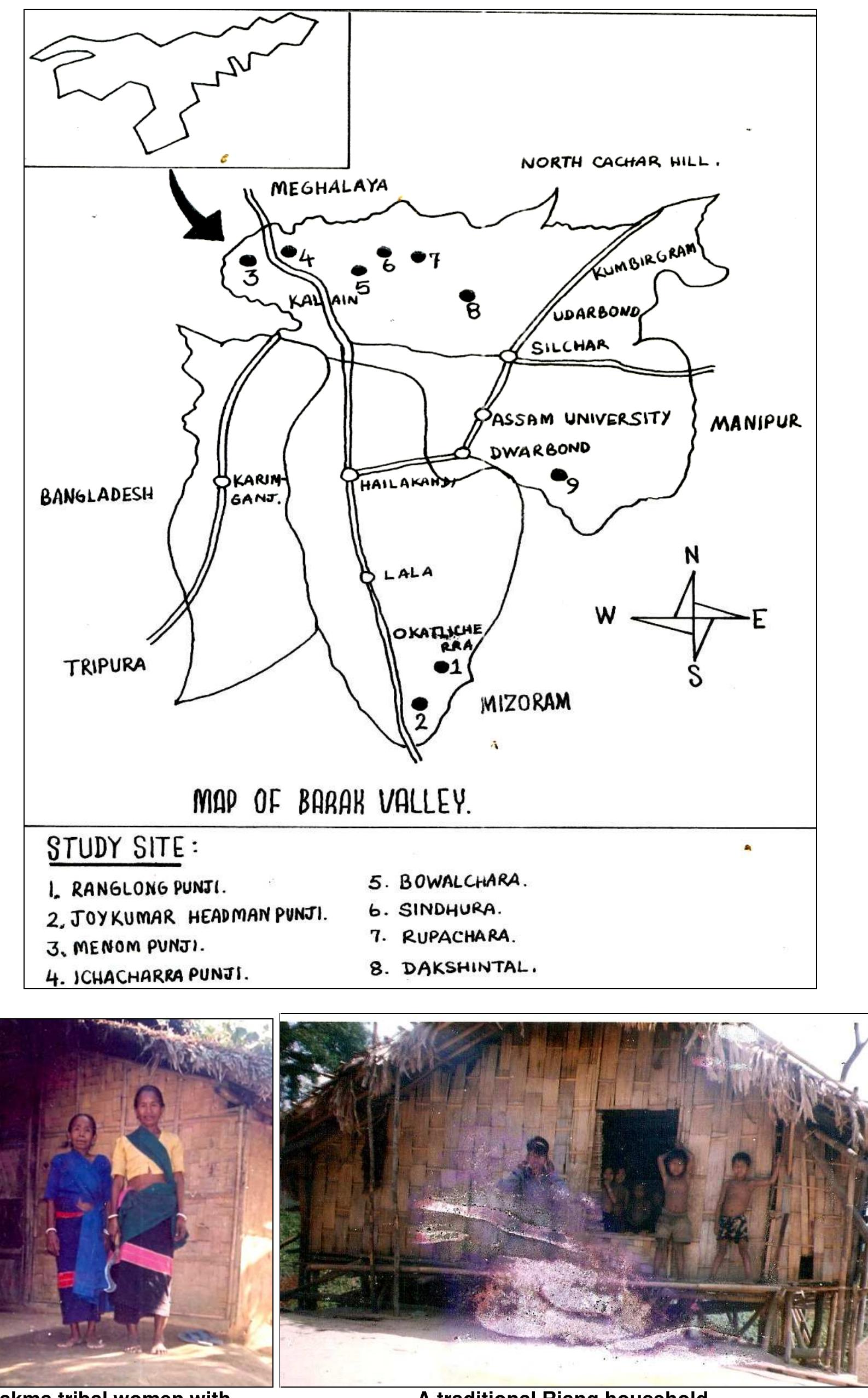 PDF) Traditional Healing Practices of North East