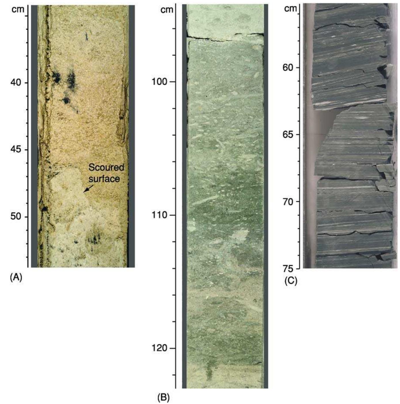 Figure 12 - from Contourites