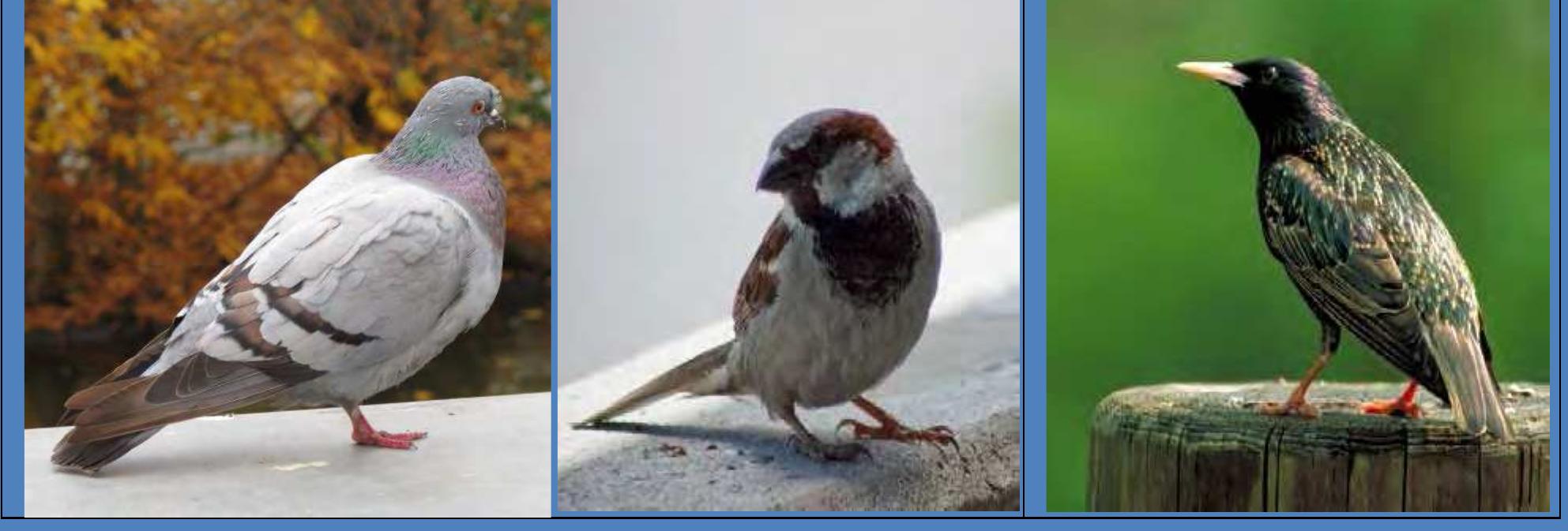 MacUser Feb 1986, image size:1985x673