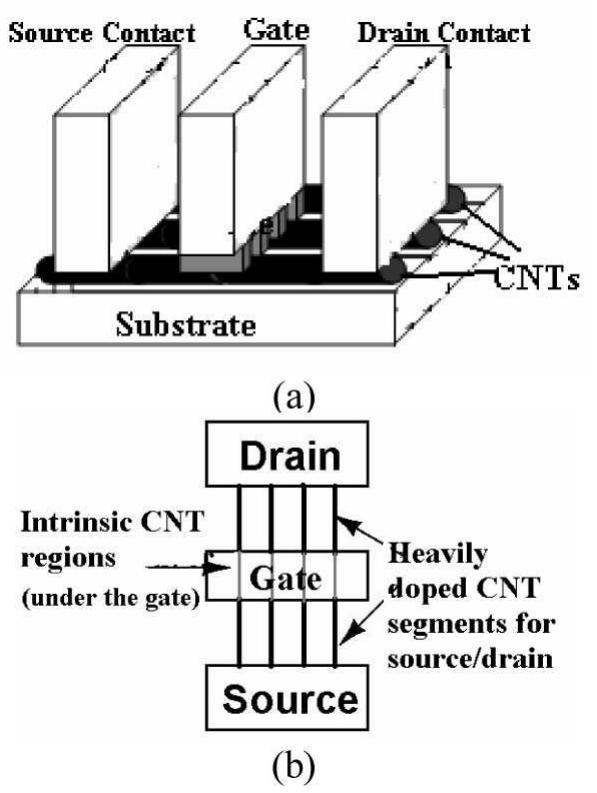 Schematic diagram of a cnt transistor. (a) cross sectional