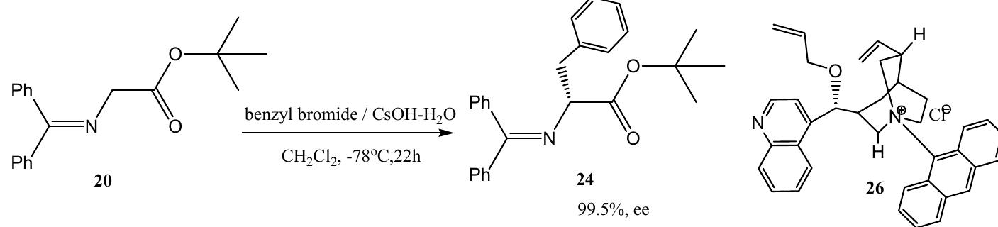 Catalytic asymmetric darzens reaction promoted by a chiral