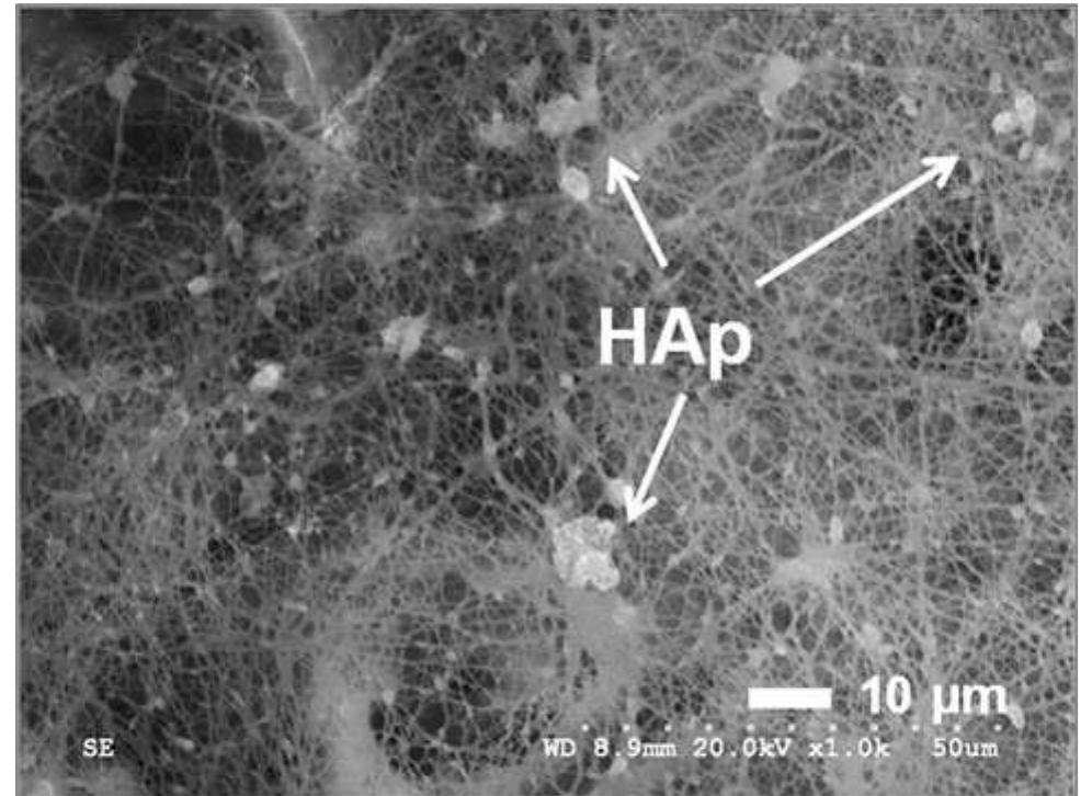 Hap Structural Formula Sem micrograph of hap/alginate scaffold fabricated using a