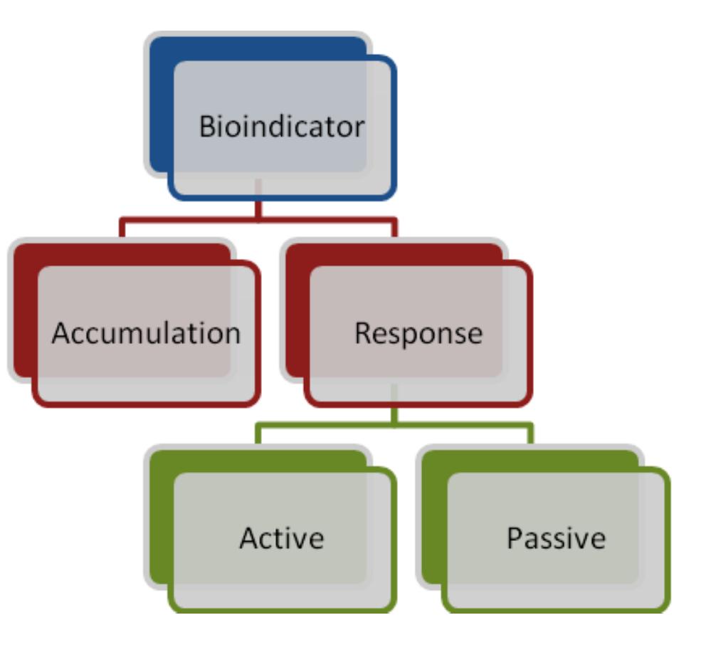 (PDF) Exploring Biodiversity as Bioindicators for Water Pollution