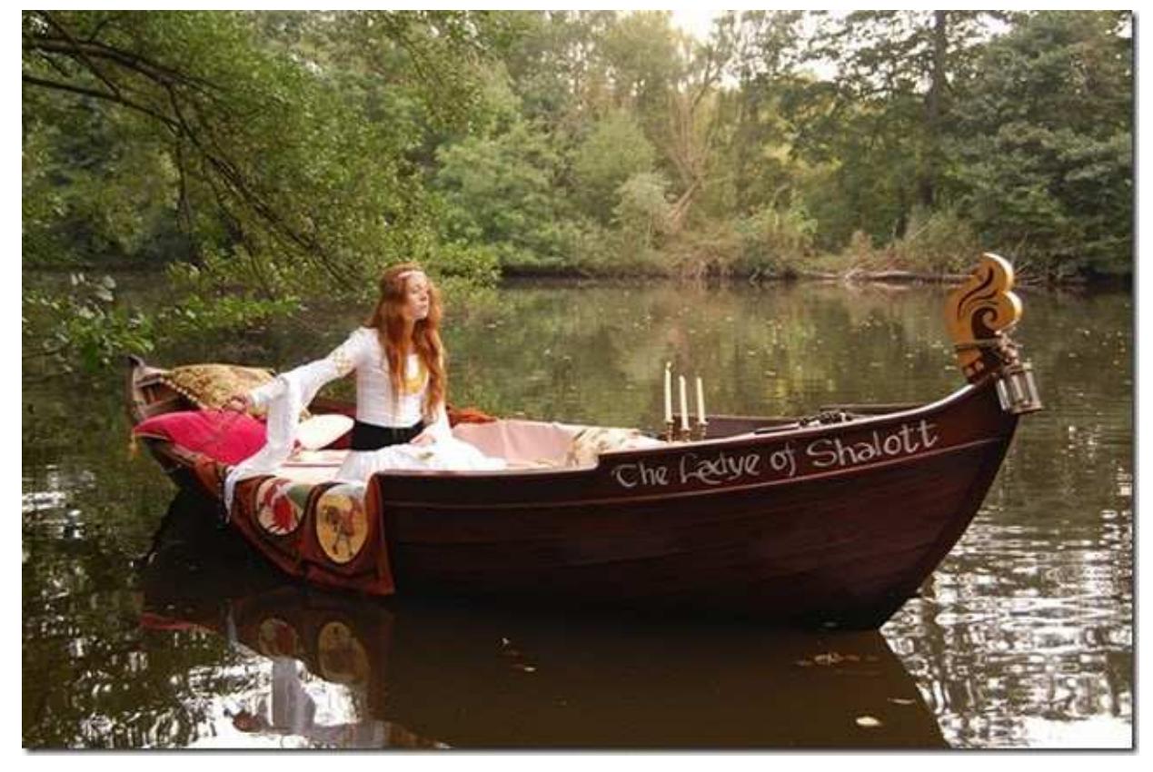 Perfis de Criadores | The Bullvine, image size:1269x850