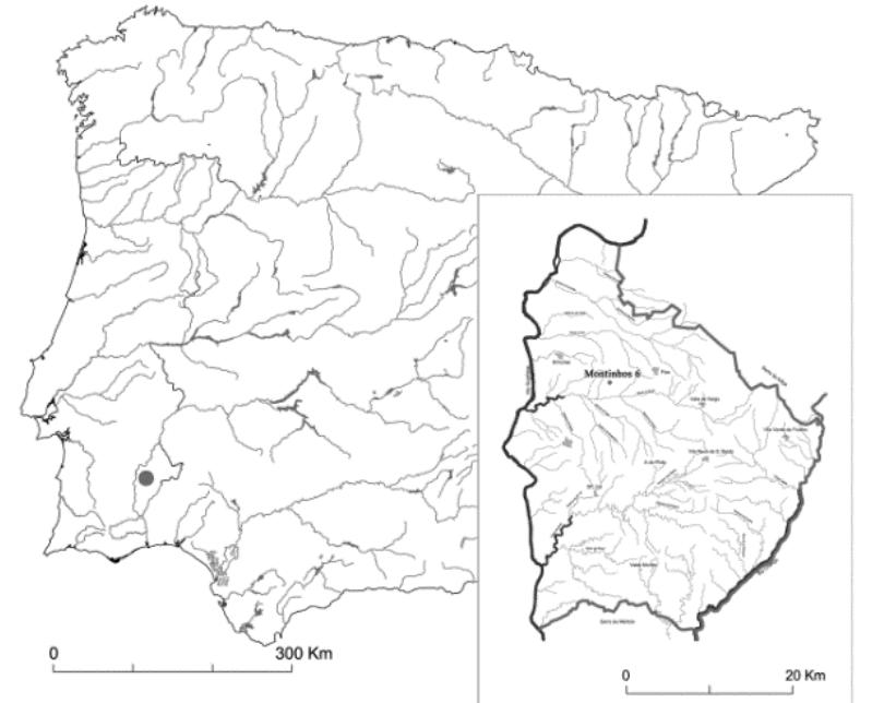 Figure 1. Localization of Montinhos 6 in the Iberian Peninsula and in the county of Serpa.  Montinhos 6 is situated on two small hills separated by a light depression where the substrate is made up of calico (a form of limestone) of a whitish colour which corresponds to a decomposition of gabbro-diorites which are very easy to carve. The site of Montinhos 6 has a line 