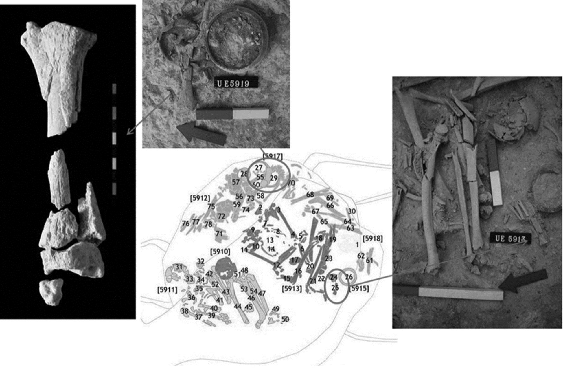 Figure 8. Hypogeum 59 - Two votive sets with faunal remains: Bos Taurus associated with an ossuary (on the left); Ovis/Capra associated with a female skeleton (on the right). 