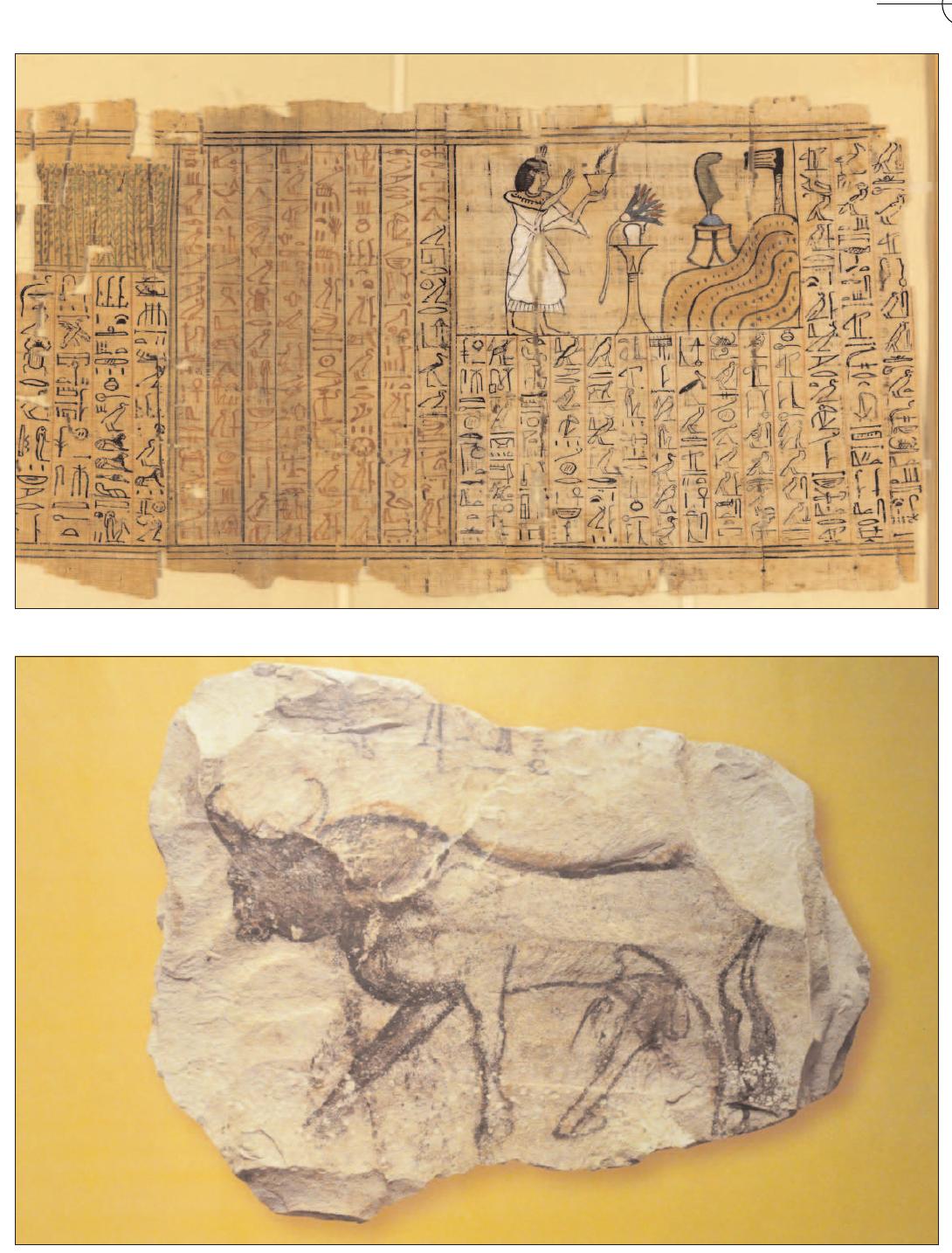 Figure 3 - from Scribes of Outlines - Drawing in Ancient