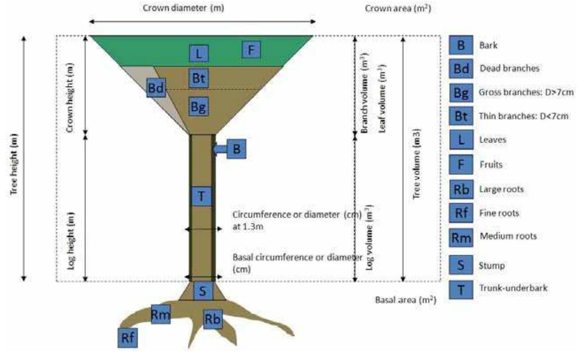 (PDF) Inventory of Volume and Biomass Tree Allometric Equations for ...