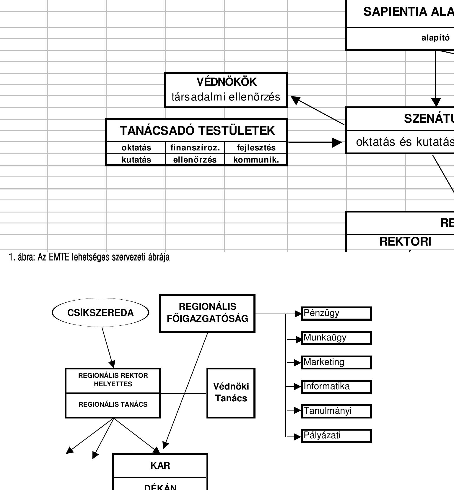 1. 4bra: Az EMTE lehetséges szervezeti dbraja

