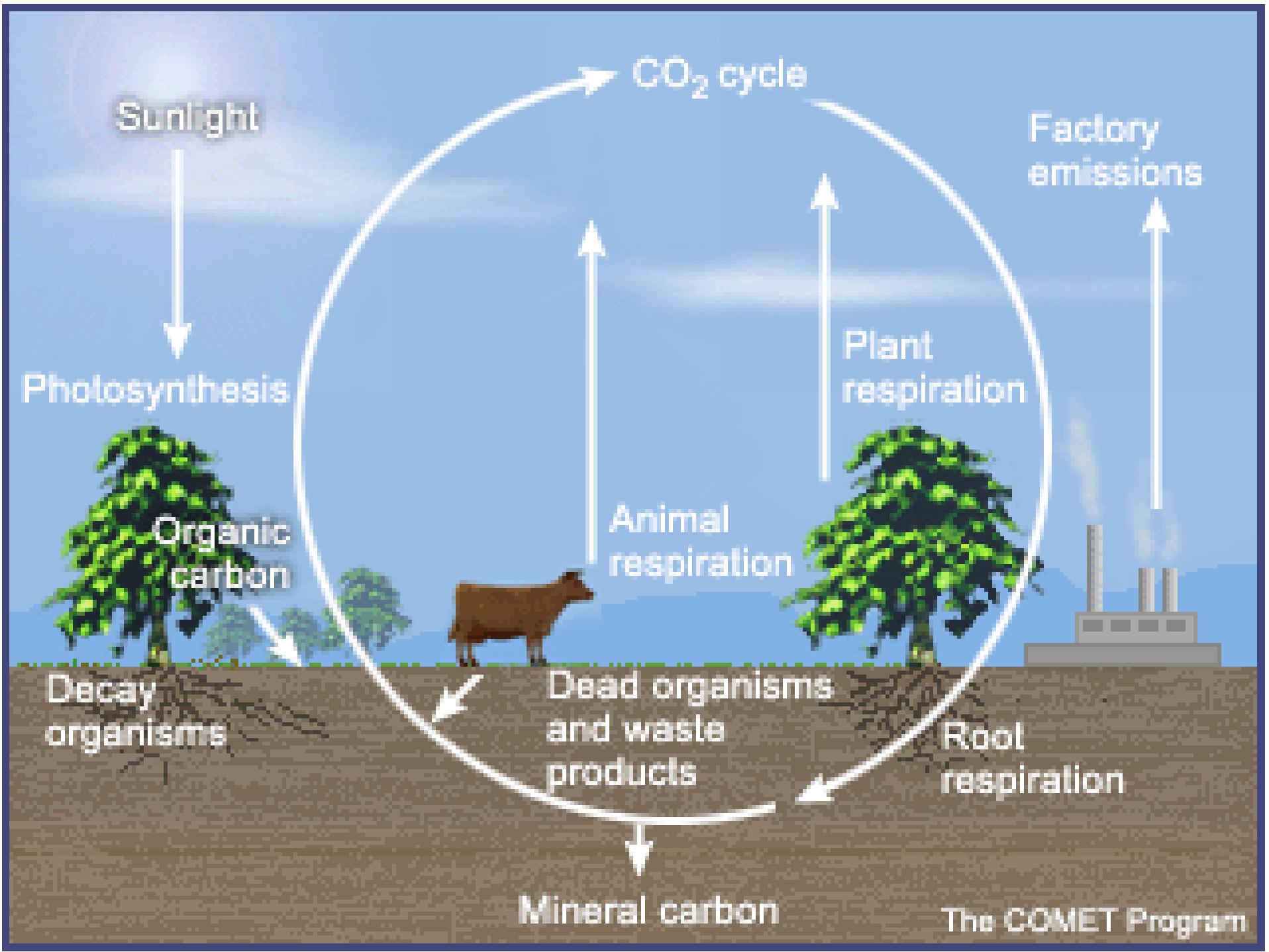 Figure 23 - from Carbon and Other Biogeochemical Cycles