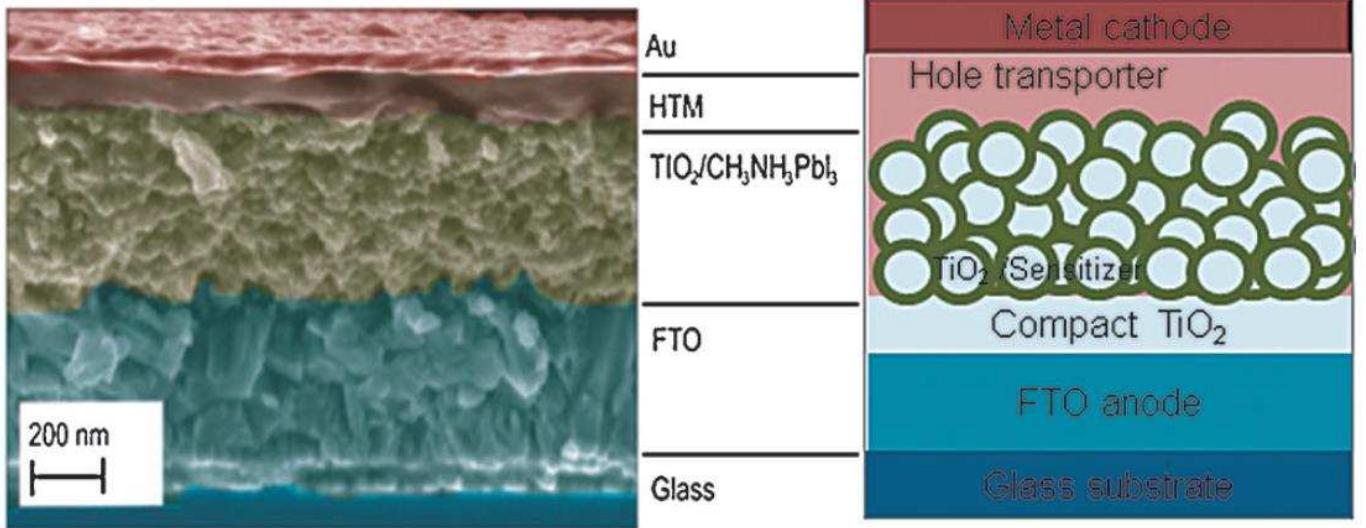 Cross-sectional sem image of a perovskite-sensitized solid