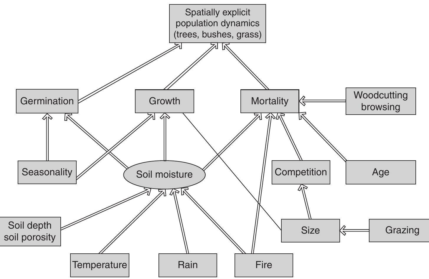 5 conceptual diagram of the vegetation dynamics model.