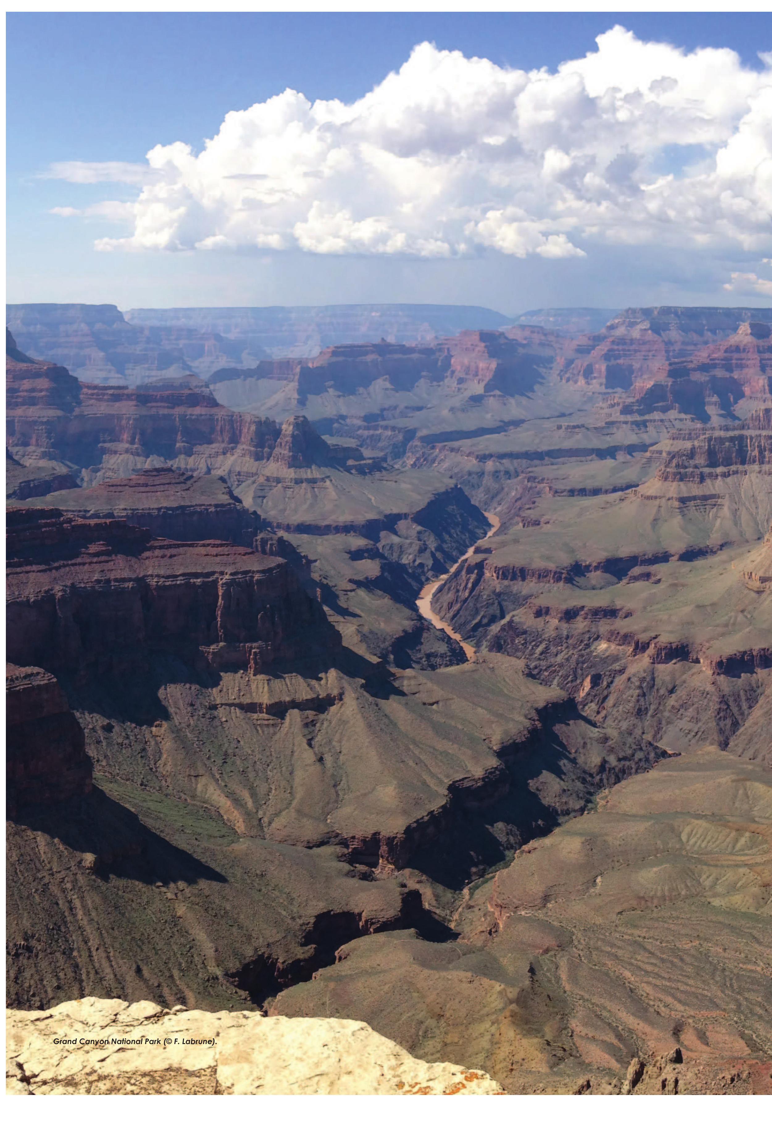 Figure 1 - Geology of Grand Canyon National Park: