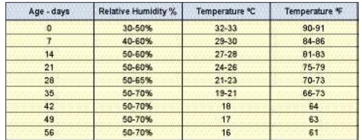 Figure 7 - from Broiler Management Guide